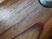 IMG_5547