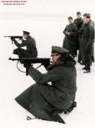 p401